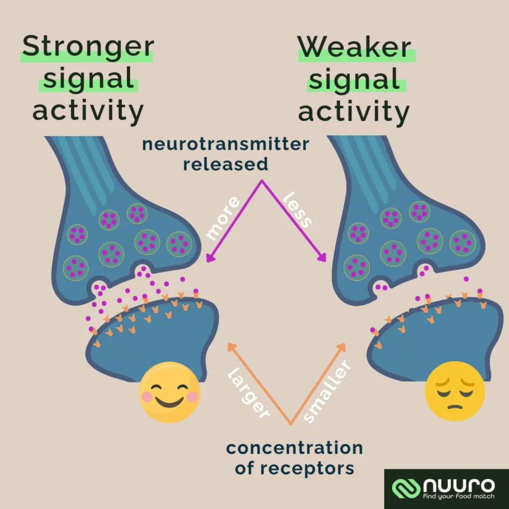 Key Health Challenges During Perimenopause